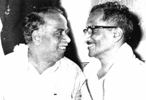 AYYA SDS